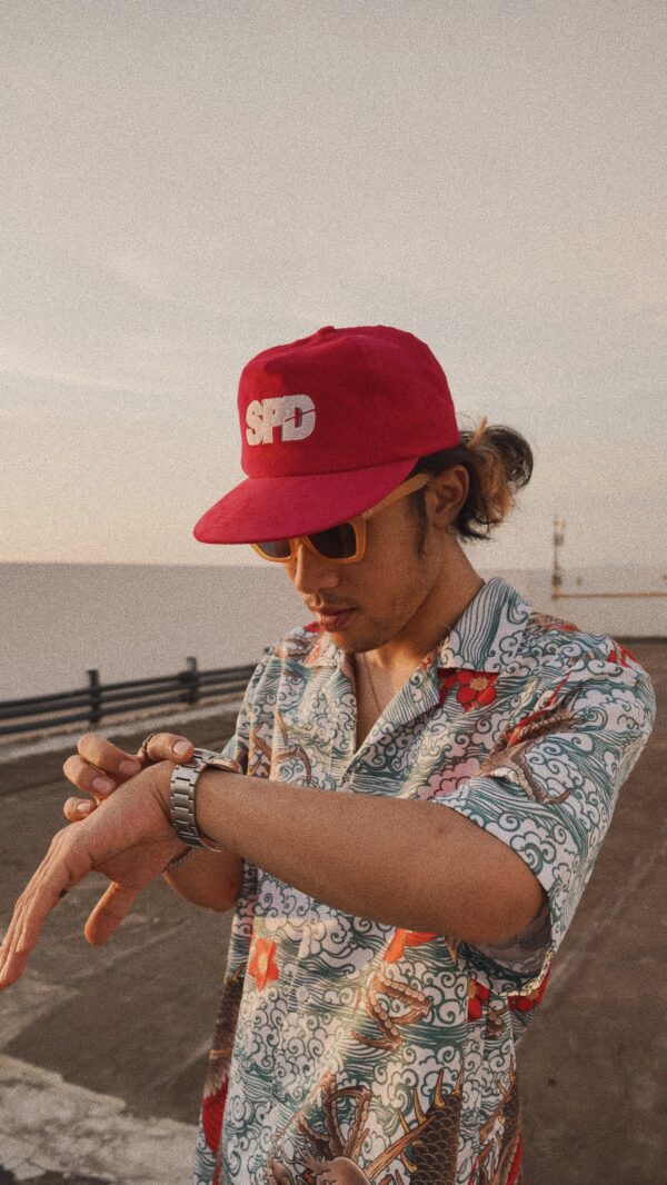 SPDWORLDFAMOUS 6 PANEL SS2 CAP - Image 4