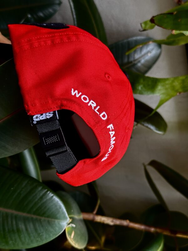 SPDWORLDFAMOUS 6 PANEL DAD CAP - Image 8