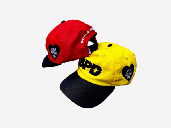 SPDWORLDFAMOUS 6 PANEL DAD CAP
